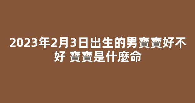 2023年2月3日出生的男寶寶好不好 寶寶是什麼命